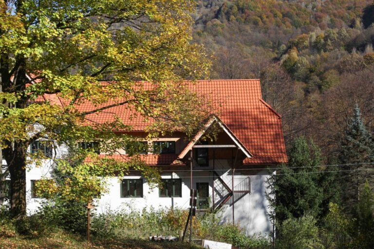 The Museum of Mountain Ecology: How a New Cultural Space Is Emerging in the Carpathian Biosphere Reserve
