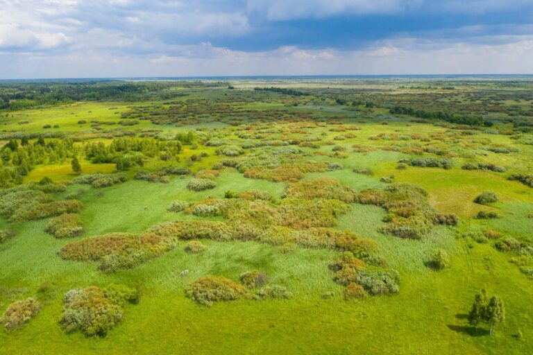 “Дике Полісся”: 13 кандидатів до Смарагдової мережі