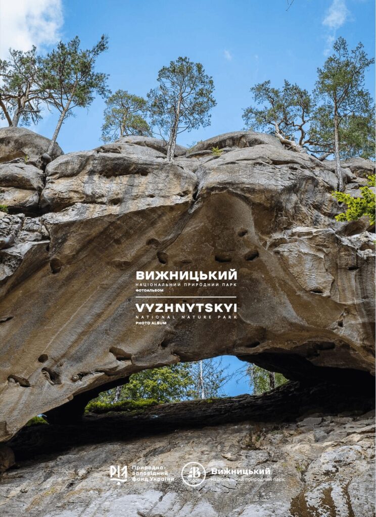 Вижницький