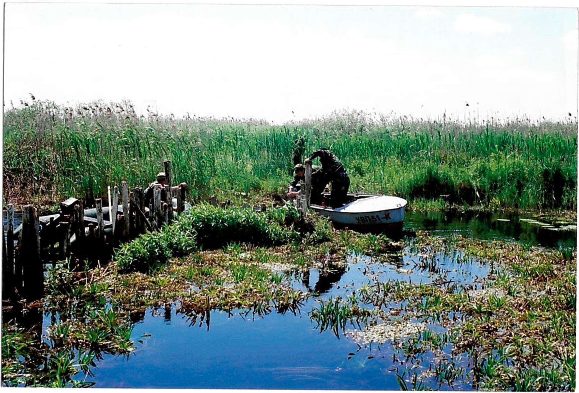 2753#2 How the Prypiat River Was Freed from Illegal Fish Weirs