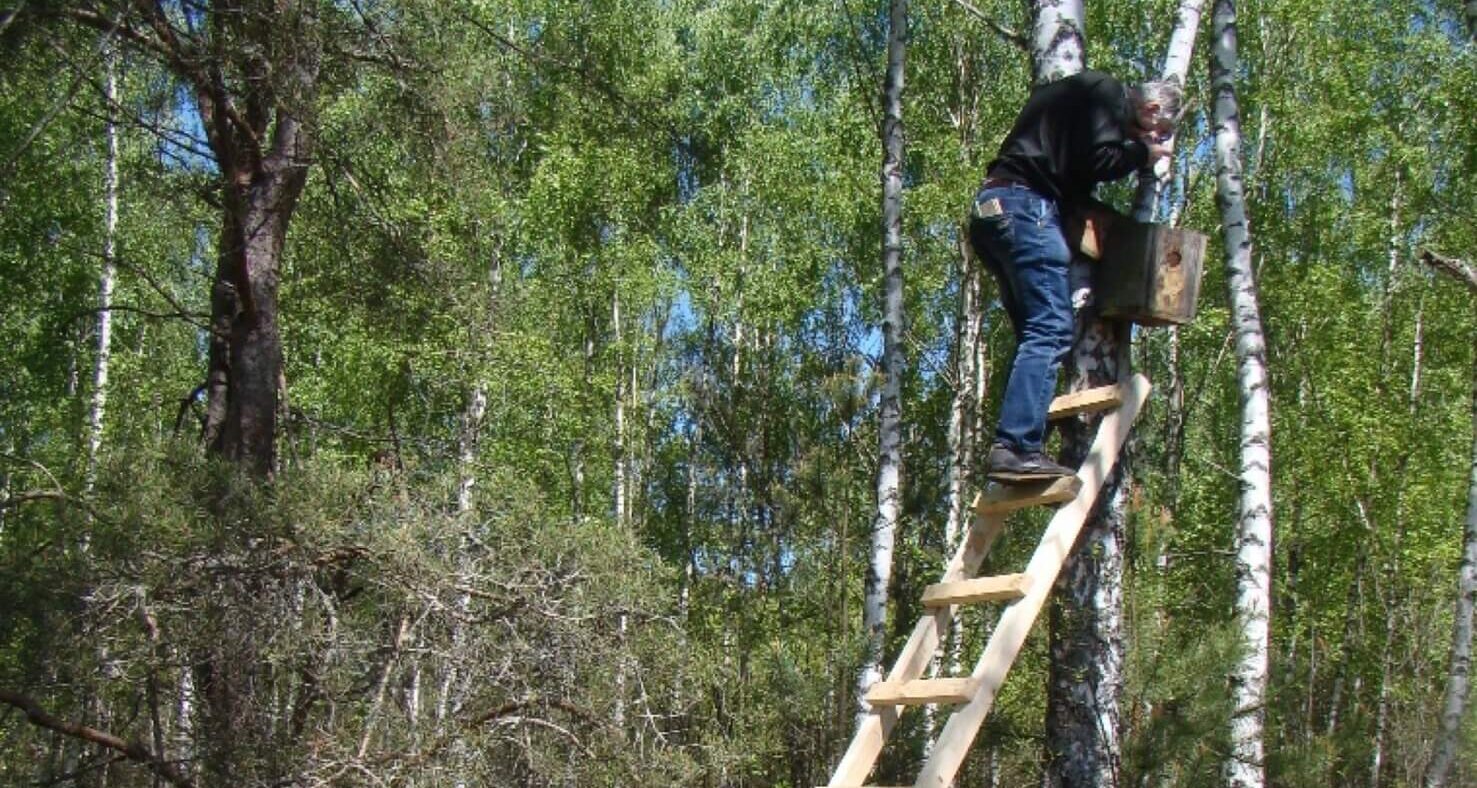 2728#1 Прип’ять, гоголі та загати,— як почалась діяльність ФЗТ в Україні