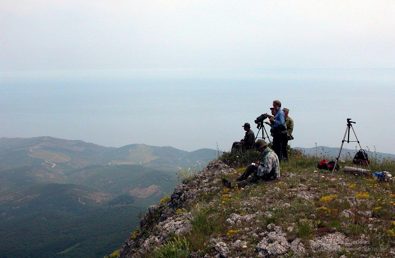 2811#3 Дослідити весь гірський Крим: проєкт, що відкрив українських грифів для Європи