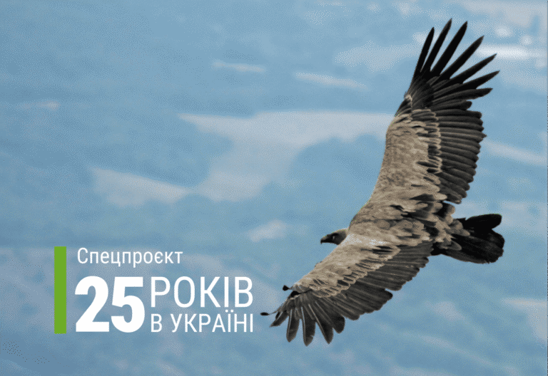 Спецпроєкт спогадів до 25-річчя ФЗТ в Україні